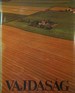 Vajdas�g
