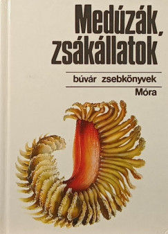 Med�z�k, zs�k�llatok