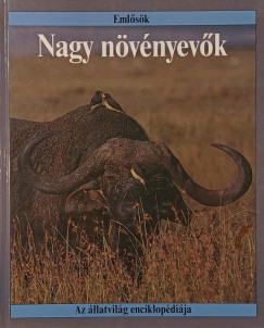 Nagy n�v�nyev�k
