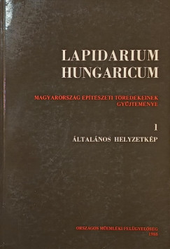 �ltal�nos helyzetk�p 1.