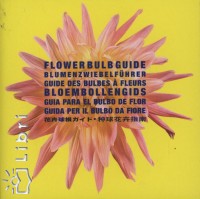 Flower Bulb Guide