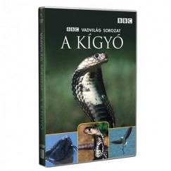 A kgy - DVD