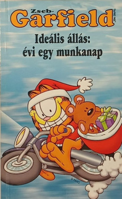 Zseb-Garfield 31.