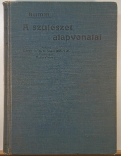 A szlszet alapvonalai