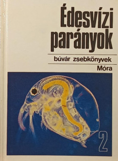 desvzi parnyok 2.