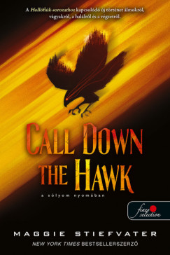 Maggie Stiefvater - Call Down the Hawk - A slyom nyomban