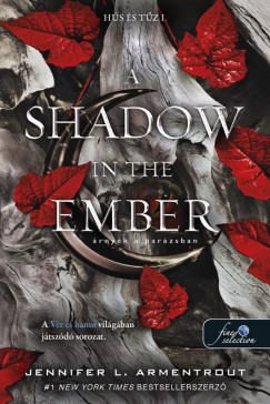 A Shadow in the Ember - rnyk a parzsban