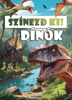 Sznezd ki! - Dink