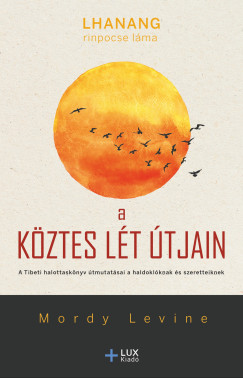 Mordy Levine - A kztes lt tjain