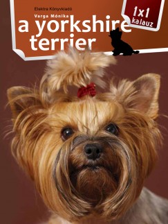 A yorkshire terrier - 1x1 kalauz