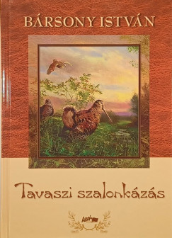 Bársony István - Tavaszi szalonkázás