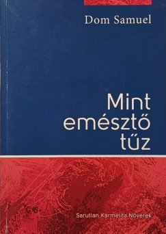 Mint em�szt� t�z