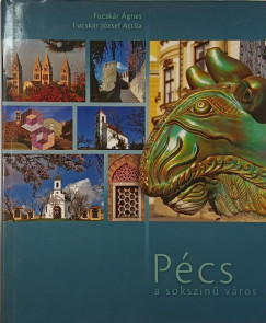 Pcs a sokszn vros