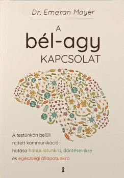 A bl-agy kapcsolat