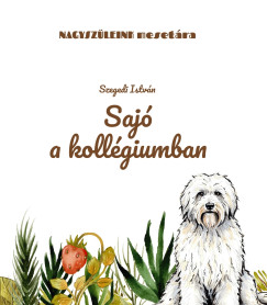 Saj� a koll�giumban