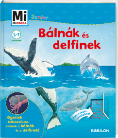 Elisabeth Kiefmann - Blnk s delfinek
