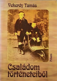 Csaldom trtneteibl