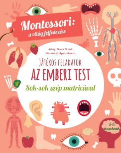 Jtkos feladatok - Az emberi test