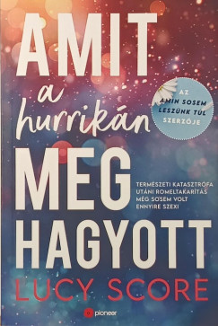 Amit a hurrikn meghagyott