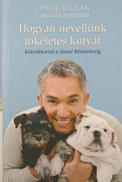 Hogyan neveljnk tkletes kutyt