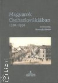 Magyarok Csehszlovkiban, 1918-1938