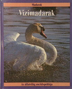 John Stidworthy - V�zimadarak
