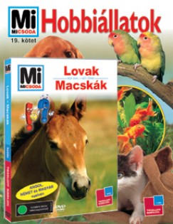Hobbillatok + Lovak - Macskk (DVD)