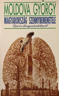 Magyarorszg szennybemenetele