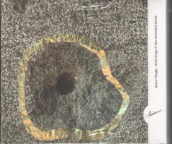 Gold rings of the woundedstone - 2 CD