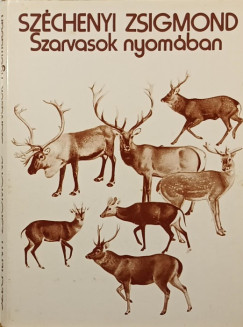 Szarvasok nyom�ban