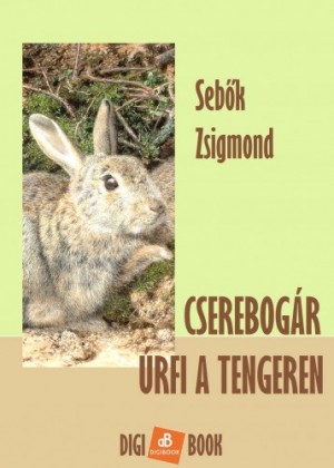 Seb�k Zsigmond - Cserebog�r �rfi a tengeren