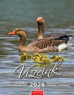 Vizeink vilga falinaptr - 21x32 cm - 2025