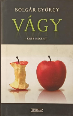 V�gy