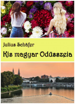 Julius Schafer - Kis magyar Odsszeia
