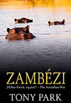 Zambzi