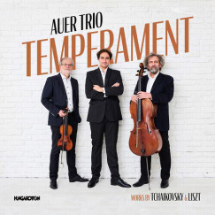 Auer Trio - Temperament - CD