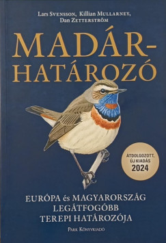 Killian Mullarney - Lars Svensson - Dan Zetterstr�m - Mad�rhat�roz�