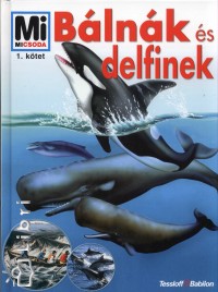 Blnk s delfinek