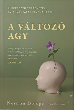 A vltoz agy