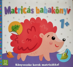 Matrics babaknyv 1+