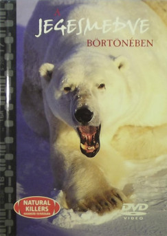 A jegesmedve brtnben