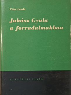 Juhsz Gyula a forradalmakban