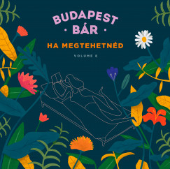 Budapest Br: Ha megtehetnd - CD