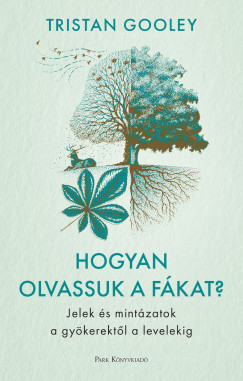 Hogyan olvassuk a fkat?