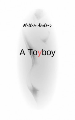 A Toyboy