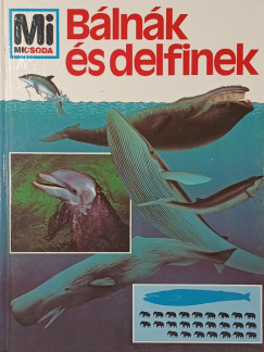 B�ln�k �s delfinek