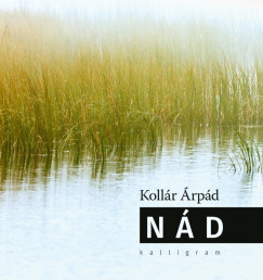 N�d