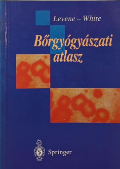 Brgygyszati atlasz