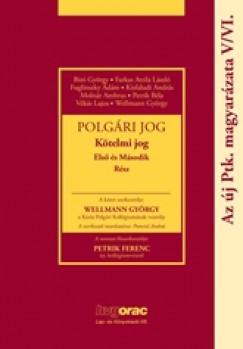 Polgri jog - Az j Ptk. magyarzata V/VI.