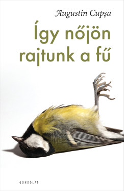 gy njn rajtunk a f